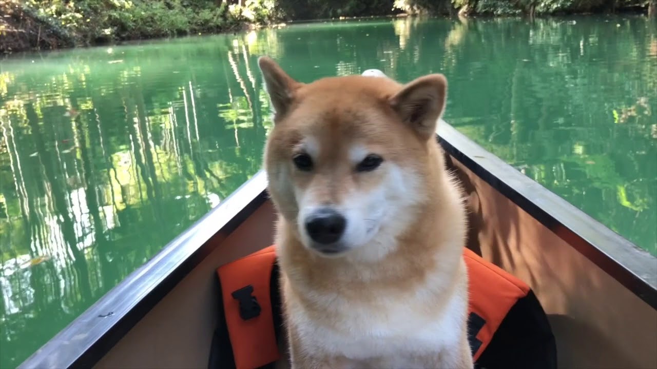 たまゆらカヌー