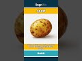 spud - another word for a potato video thumbnail