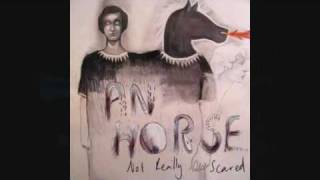 AN HORSE - Shoes Watch