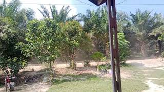 Download lagu Kelangan wong tua Lagu tarling Cirebonan sedih mengiris hati mp3 Download lagu Kelangan wong tua Lagu tarling Cirebonan sedih mengiris hati mp3