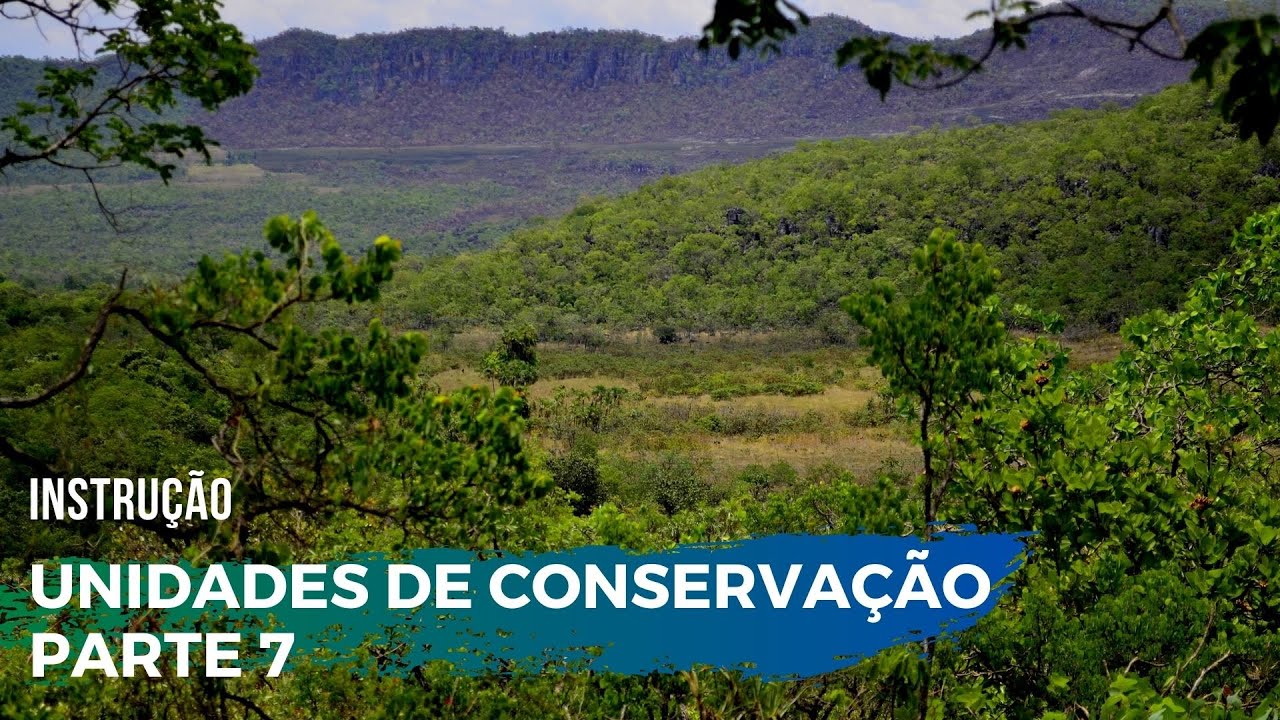 UNIDADES DE CONSERVAÇÃO: Uso Sustentável, origem e descrição...