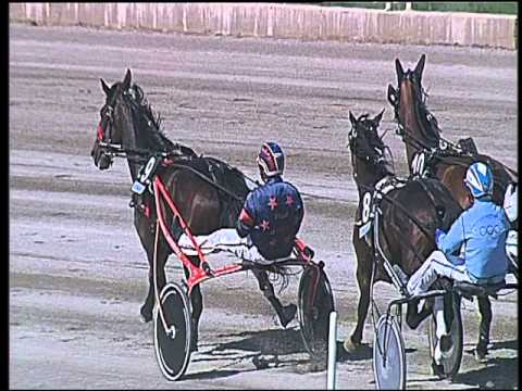 Trotto 08/05/2016 - 4° corsa