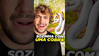 pet fofinho @diasraissaa #livedobrino #humor #MundinhoBrino