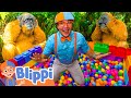Blippi Plays Jungle Ball Pit Eye Spy Blippi And Meekah Best Friend Adventures Educational Videos