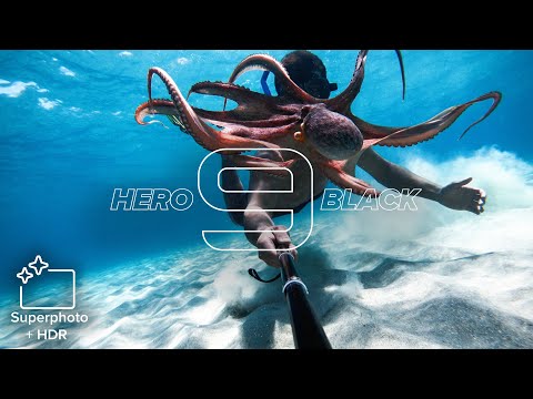 GoPro: HERO9 Black | 20MP Photos