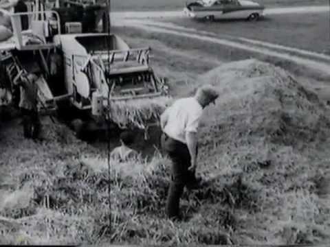Ganderkesee 1960 Teil 3 - Film über 1100 Jahrfeier