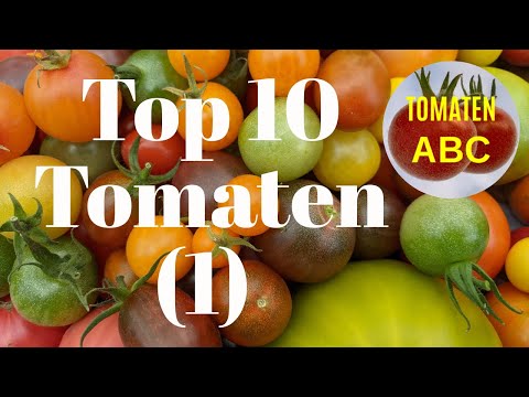 Top 10 Tomaten - die leckersten Tomaten weltweit (1)
