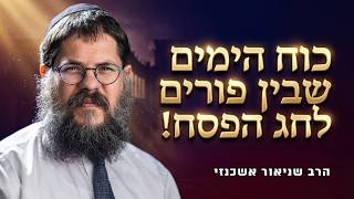 הימים הגדולים שבין פורים לחג הפסח - הרב שניאור אשכנזי בשיעור מרתק לקראת חג הפסח (הרב שניאור אשכנזי) - התמונה מוצגת ישירות מתוך אתר האינטרנט יוטיוב. זכויות היוצרים בתמונה שייכות ליוצרה. קישור קרדיט למקור התוכן נמצא בתוך דף הסרטון