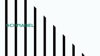 Arte- Julian Schnabel