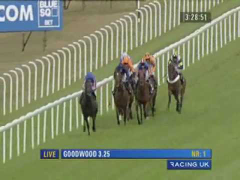 2010 Goodwood Sussex Stakes