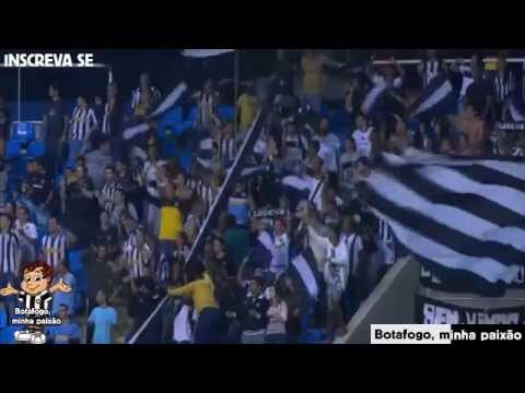 Gols de Botafogo 3 X 0 Capivariano 06 05 Copa do Brasil
