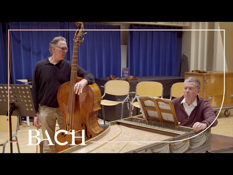 Basso continuo | Netherlands Bach Society