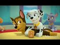Paw Patrol Elevator Sequence S02E01 In Reversed