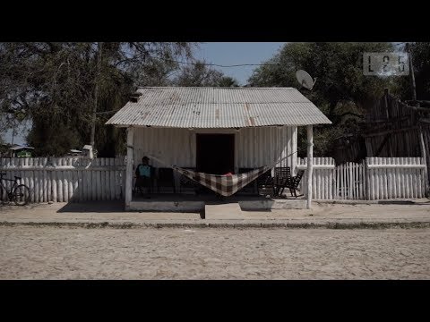 #Latitud25 - Habitantes de lo Inhóspito