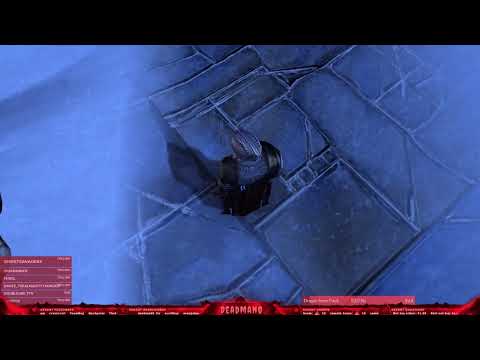 Neverwinter: Casual Leveling!