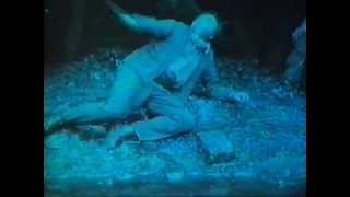 Antony and the Johnsons - Blue Angel