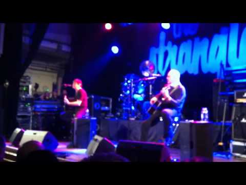 The Stranglers Convention 2011 - Quark Strangeness & Charm