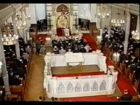 Cantor Benjamin Muller Halbein Slichos Services