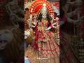 Navratri Special Status ️ Aapke Aane Se Ghar Me Kitni Ronak Hai Youtube NancyMehra24