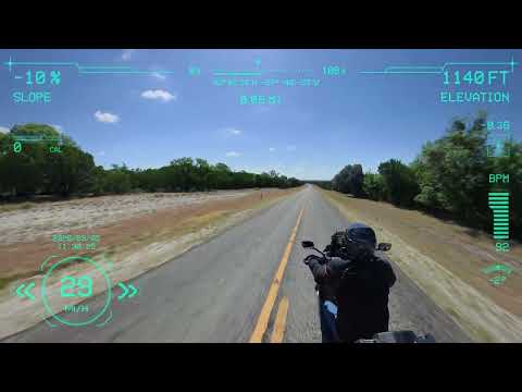 Texas Backroad Wildlife: Deer Crossing & Buck Jump