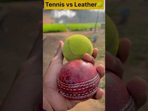 Leather vs Tennis ball🥎#cricket #cricketshorts #fastbowling