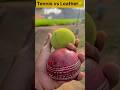 Leather Vs Tennis Ball Cricket Cricketshorts Fastbowling