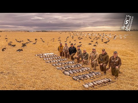 8 ОГРАНИЧЕНИЙ ЗА 1 ЧАС! Комбинация охоты на гусей и уток от фрилансера | #ROADSHOW25 HUNT 5