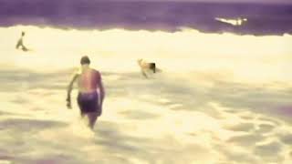 Phaeder - Summer of no regrets