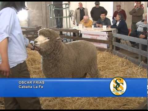 OSCAR FRIAS - Cabaña La Fé de Oscar Frias - 24/10/2013