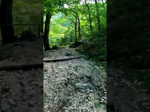 Germany bavaria 🇩🇪 || forest sounds 😍 ||black banger || bike riders | gopro hero 8