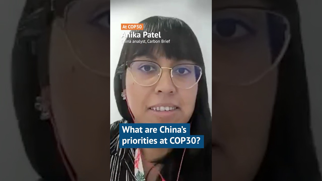 What are China’s priorities at COP30?