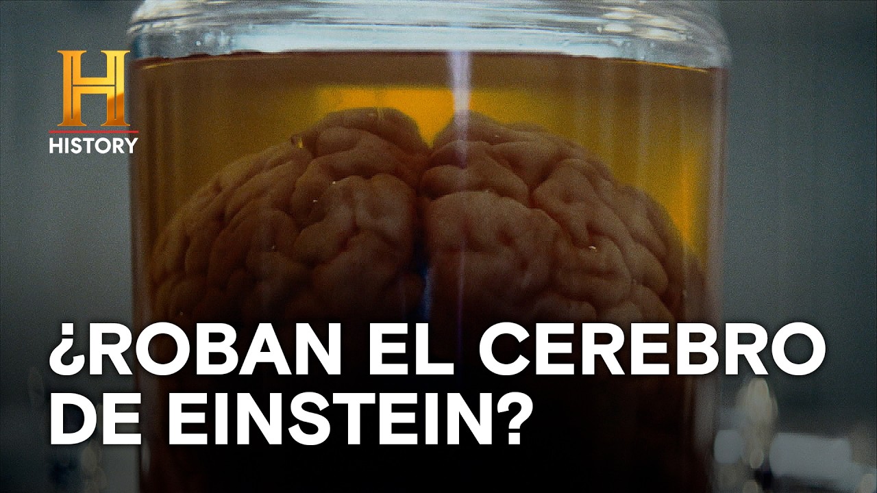¿ROBAN EL CEREBRO DE EINSTEIN? 🧠😱 - Increíble con Dan Aykroyd