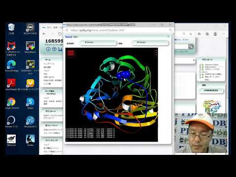 サイトポディオン・スカブラムについて詳しく解説