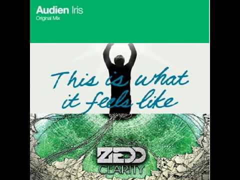 Zedd vs Audien vs Armin van Buuren   What Iris Calrity Feels (Juny Spin Mashup)