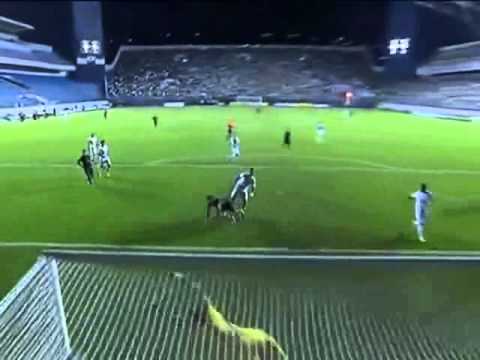 Santos FC 3 x 2 Palmeiras - Semi-Final Copa São Paulo 2013