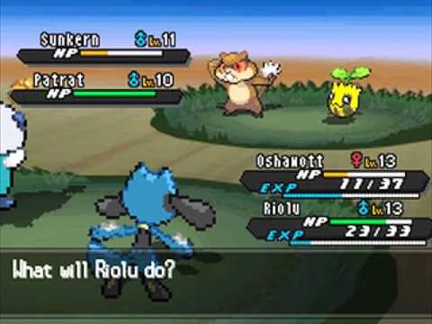 Let's Play Pokemon Black 2 Part 5: ALL THE TRAINERS + Virbank