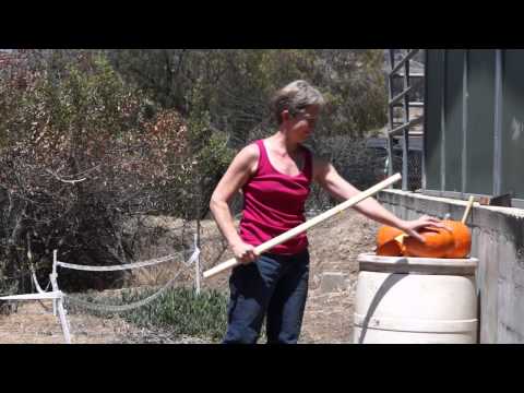 Kabocha-wara, with Linda "Pumpkin Killer" Eskin