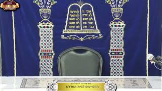 בית המדרש "תורת דוד" ¤ תיקון שובבי"ם ותענית דיבור ¤ כ"ה שבט תשפ"ו (12.2.2025) (מוסדות תורת דוד) - התמונה מוצגת ישירות מתוך אתר האינטרנט יוטיוב. זכויות היוצרים בתמונה שייכות ליוצרה. קישור קרדיט למקור התוכן נמצא בתוך דף הסרטון