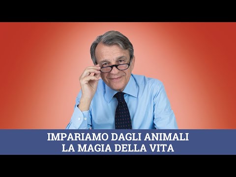 Impariamo dagli animali la magia della vita