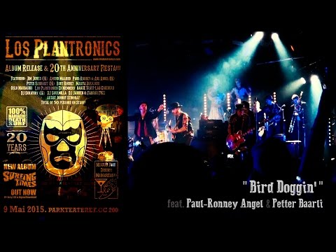 Los Plantronics feat. Paul-Ronney Angel & Petter Baarli - "Bird Doggin'" (live)