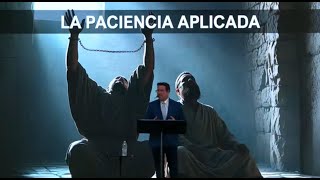 LA PACIENCIA APLICADA | 01 FEBRERO 2026
