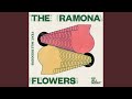 Up All Night by The Ramona Flowers