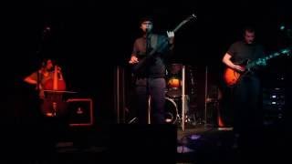 Imaginary Flock by In Cages