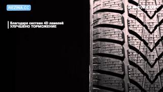 Dunlop SP Winter Sport 4D (255/40R18 99V) - відео 1