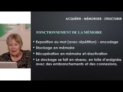 Pour un enseignement structuré du vocabulaire à l’école Primaire