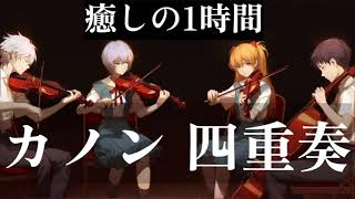 Download lagu 癒しカノン 四重奏Ver.1時間耐久【ヒーリング/自律神経の安定/集中力増加/シンクロ率上昇/読書/勉強/作業用BGM】Johann Pachelbel : Canon in D【528Hz】 mp3