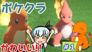 【ポケクラ】 この四角い世界にポケモンの可愛さを #１【マインクラフト ポケモンmod ゆっくり実況】