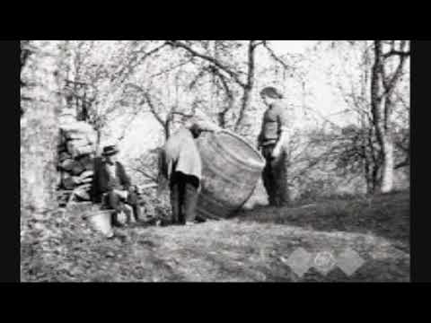 Bora Stanković U VINOGRADIMA