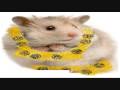 Itsy Bitsy Teeney Weeney Yellow Polka Dot Bikini Hamster Version