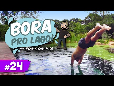 How to build a biological pool with fish! | Let's go to the Lake #24